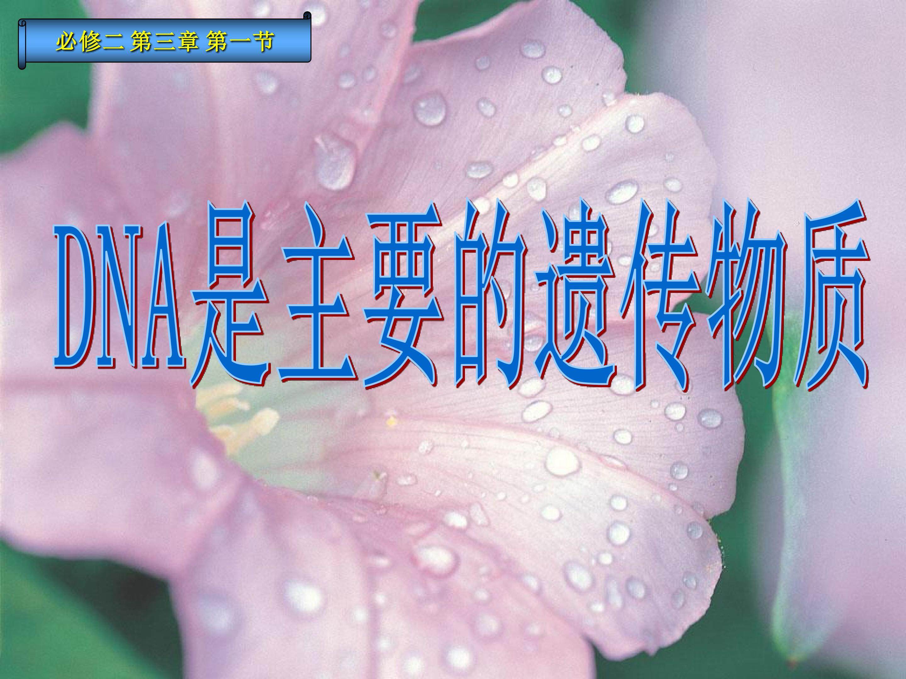 DNA是主要的遗传物质