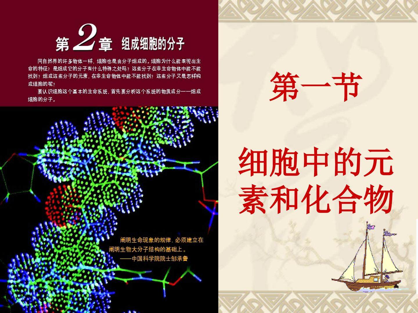 第1节  细胞中的元素和化合物