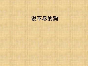 说不尽的狗_课件1