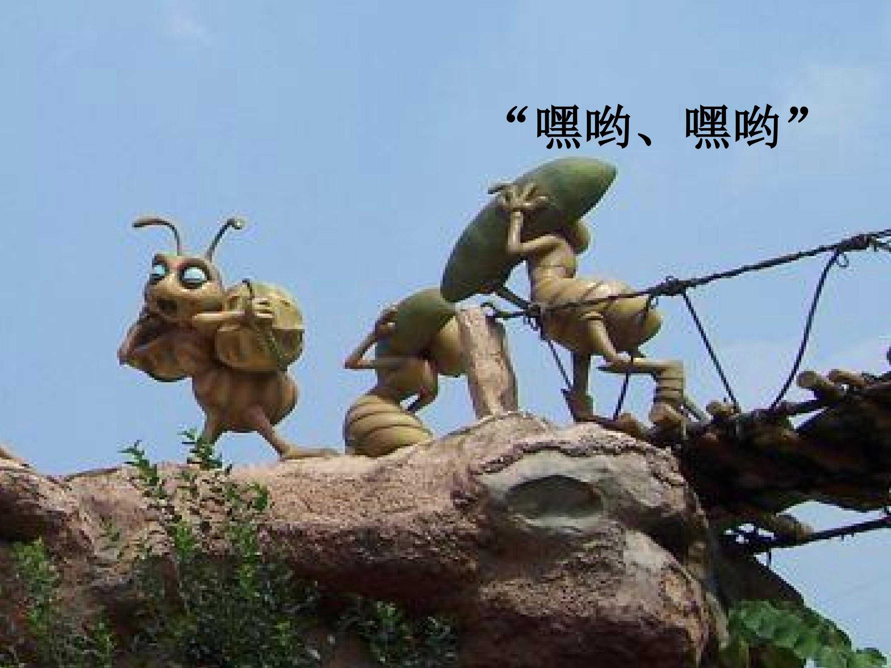 35.jpg