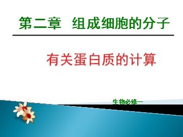 科学史话  世界上第一个人工合成蛋白质的诞生
