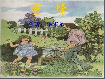 14蜜蜂