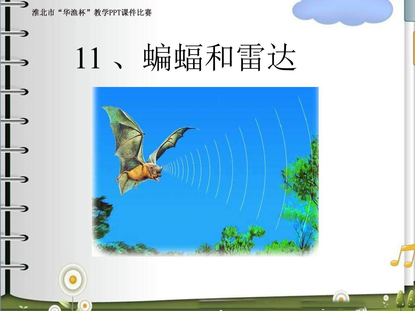 蝙蝠和雷达