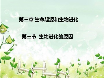 第三节  生物进化的原因