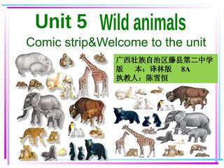 Unit 5 Wild animal 第一课时