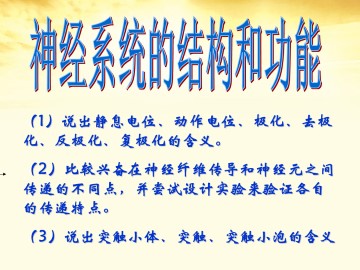 神经系统的结构与功能_课件1