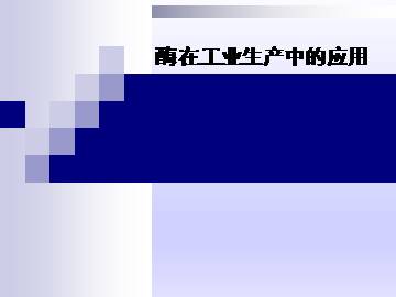 酶在工业生产中的应用_课件1