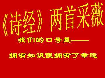 采薇_课件1