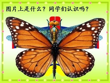 轴对称
