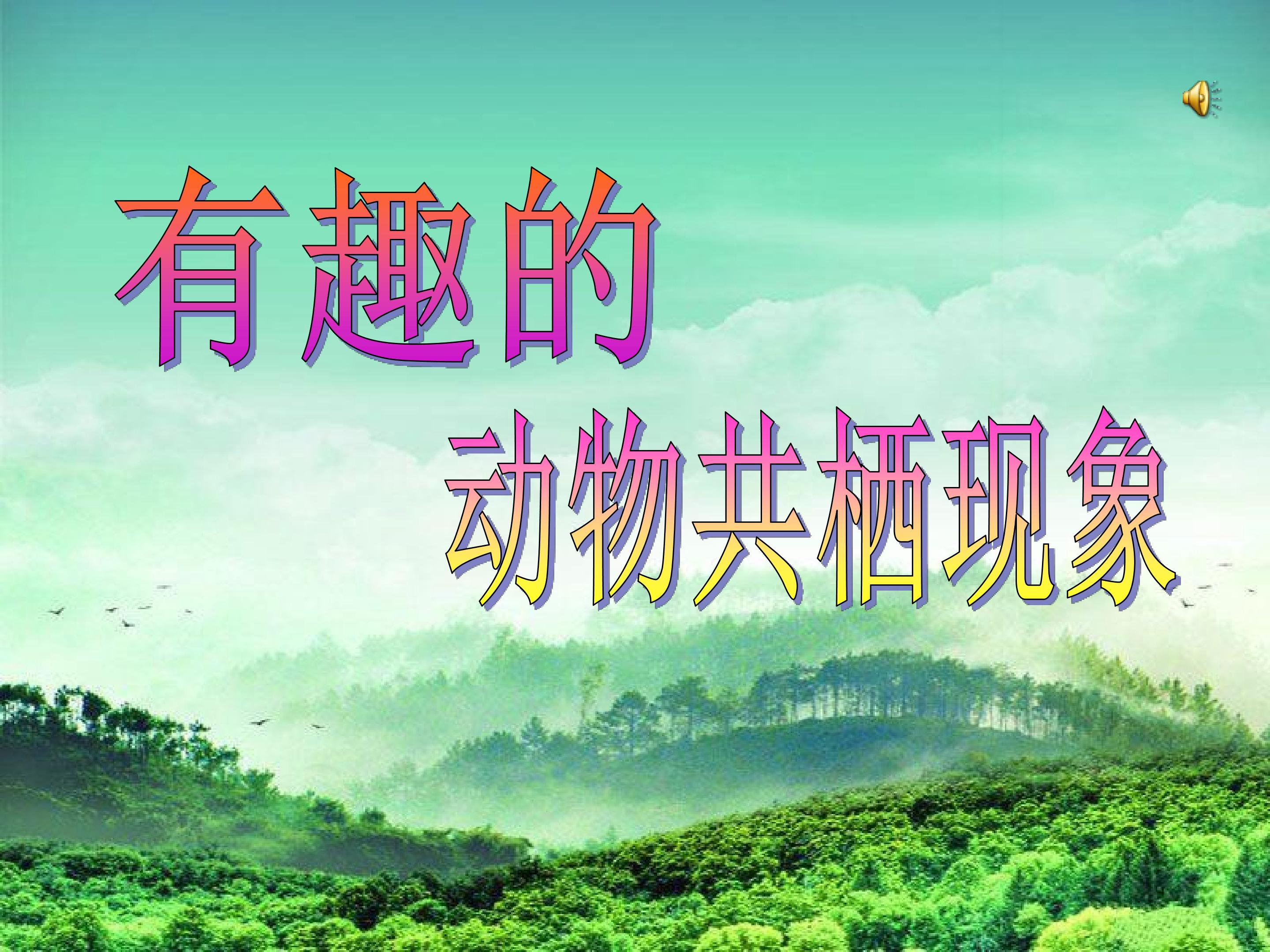 3　有趣的动物共栖现象