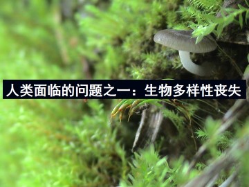 人类面临的问题之一：生物多样性丧失_课件1