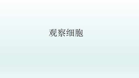 观察细胞_课件1