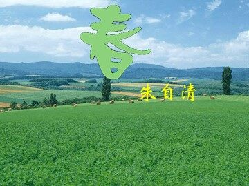 11 春