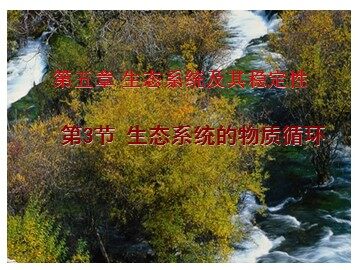 生物高中必修3第五章第三节课件2