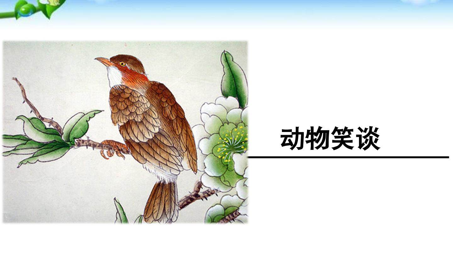 动物笑谈