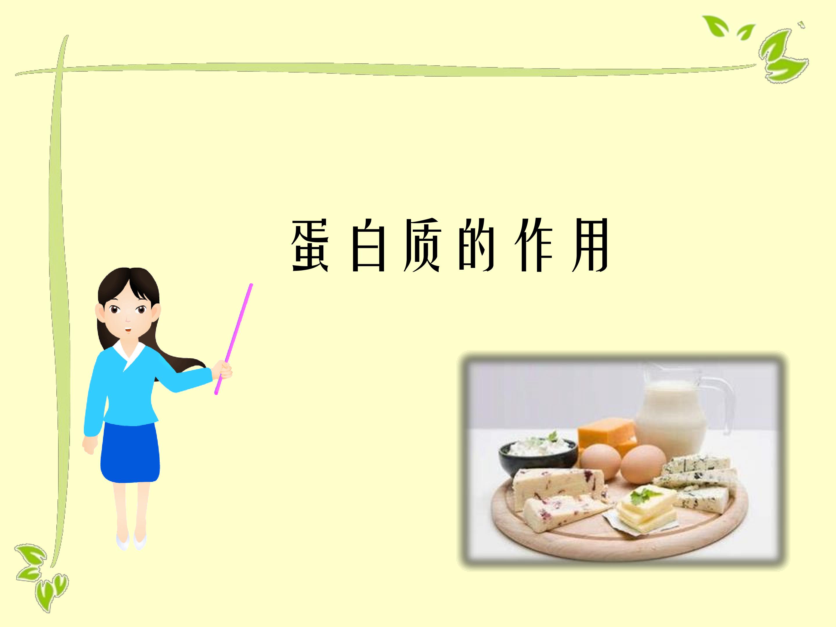 蛋白质的作用