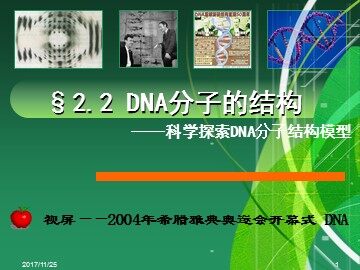 第2节  DNA分子的结构