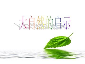 人类的老师