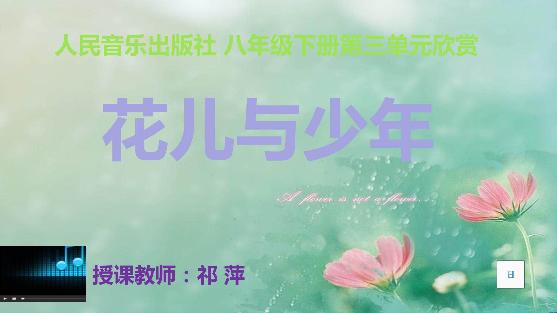 花儿与少年