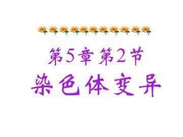 必修2第5章第2节染色体变异课件（广州一中 黄婉薇）