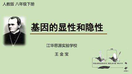 基因的显性和隐性