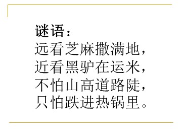 5.蚂蚁