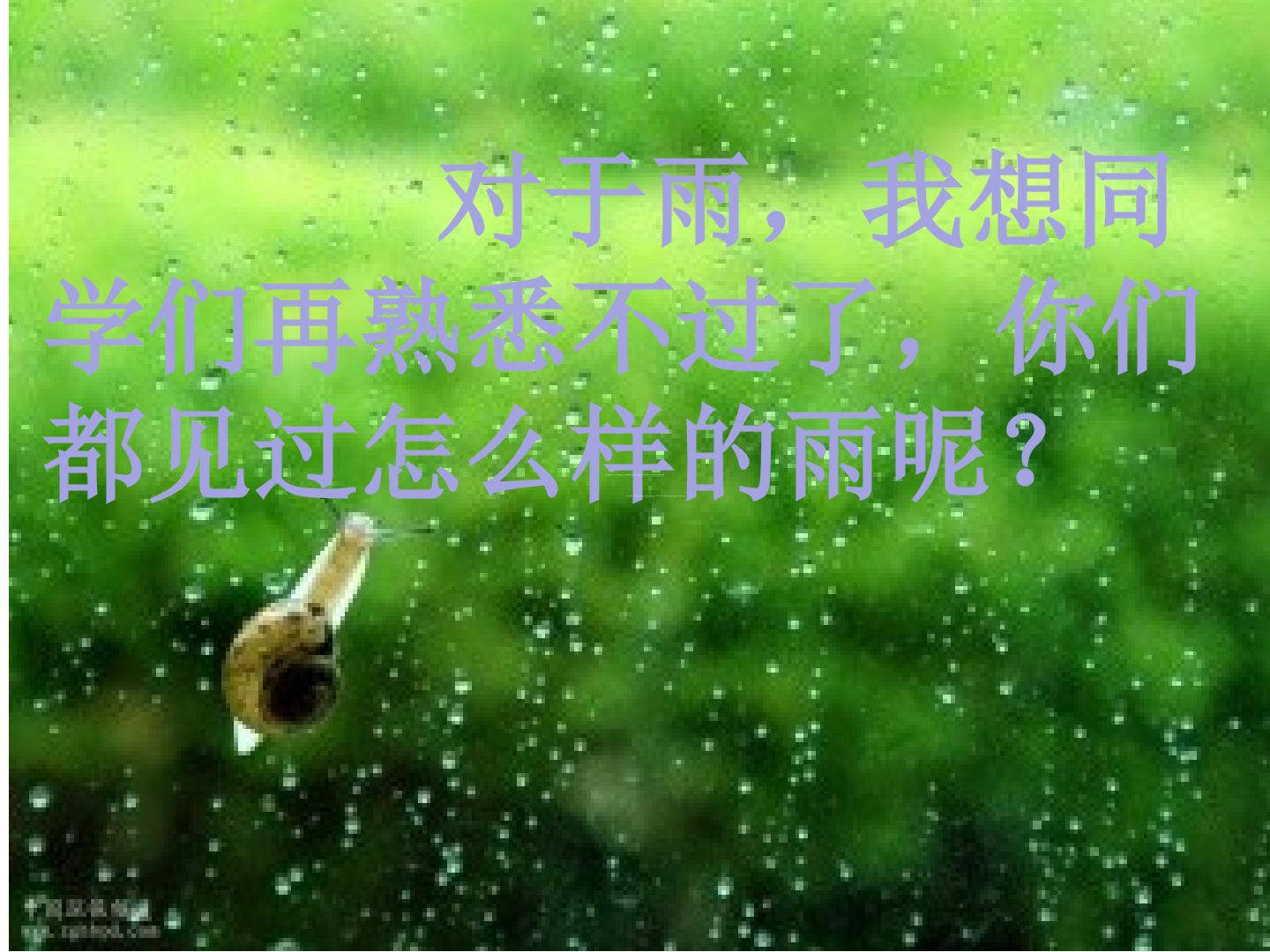 秋天的雨