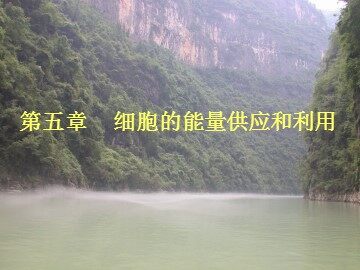 生物高中必修1第五章复习课件