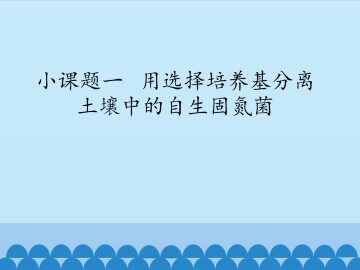 小课题一  用选择培养基分离土壤中的自生固氮菌_课件1