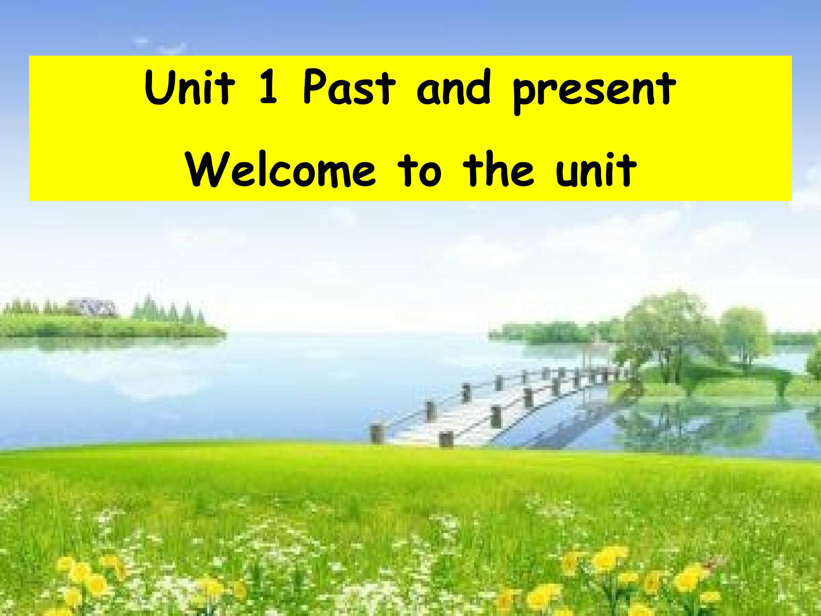 Unit 1 Past and present