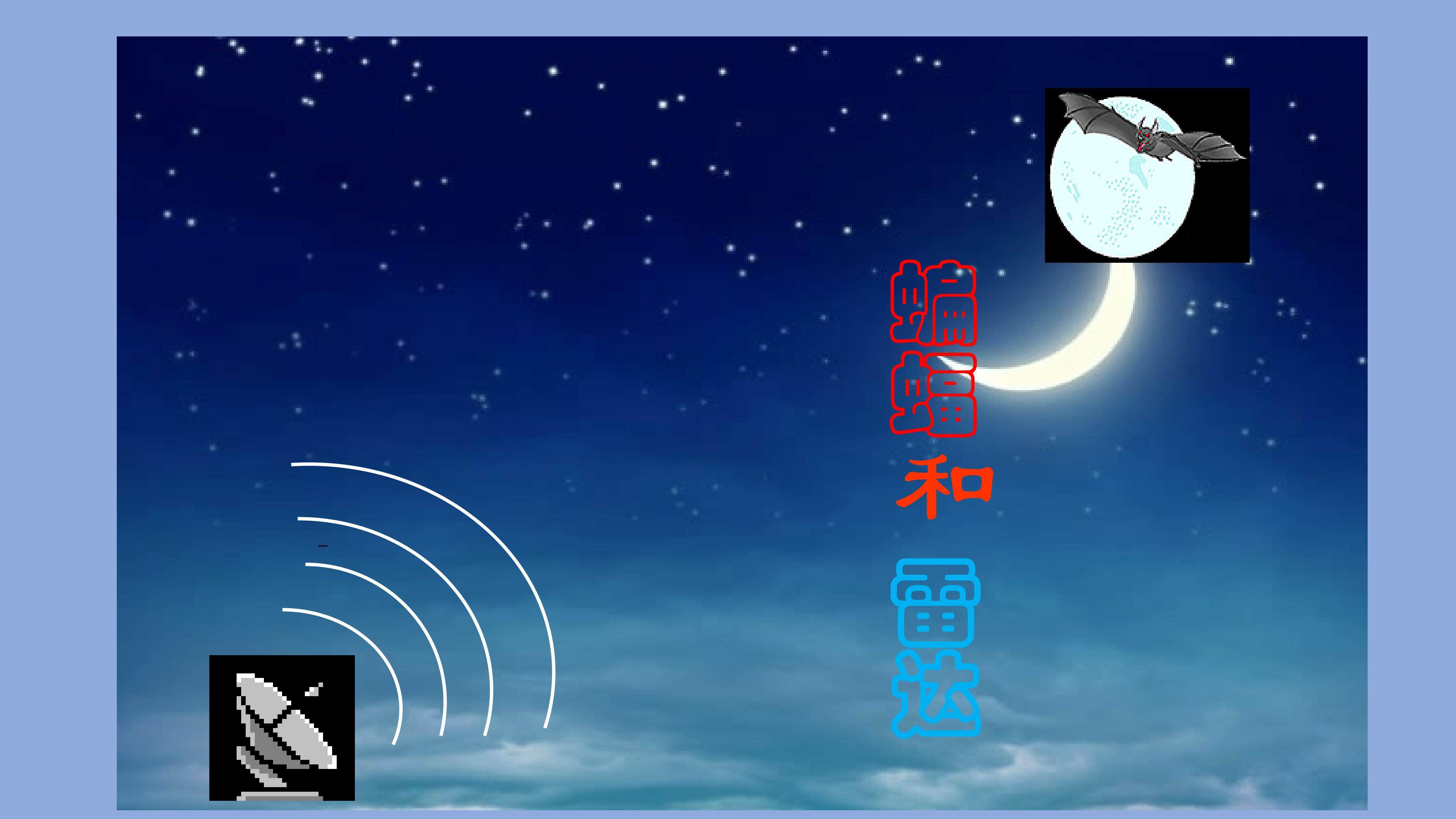 蝙蝠和雷达