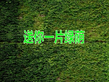 送你一片绿荫_课件1