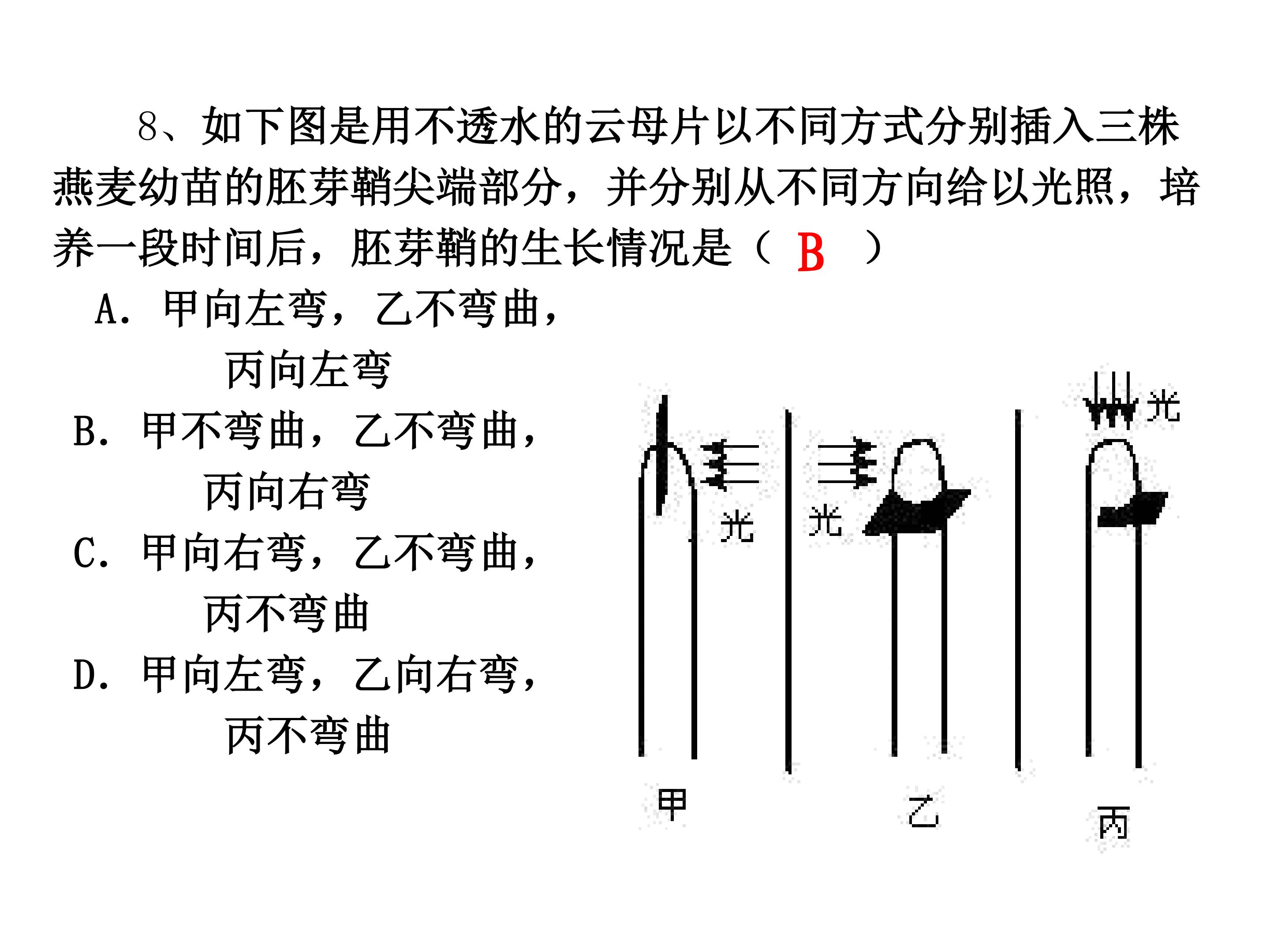 25.jpg