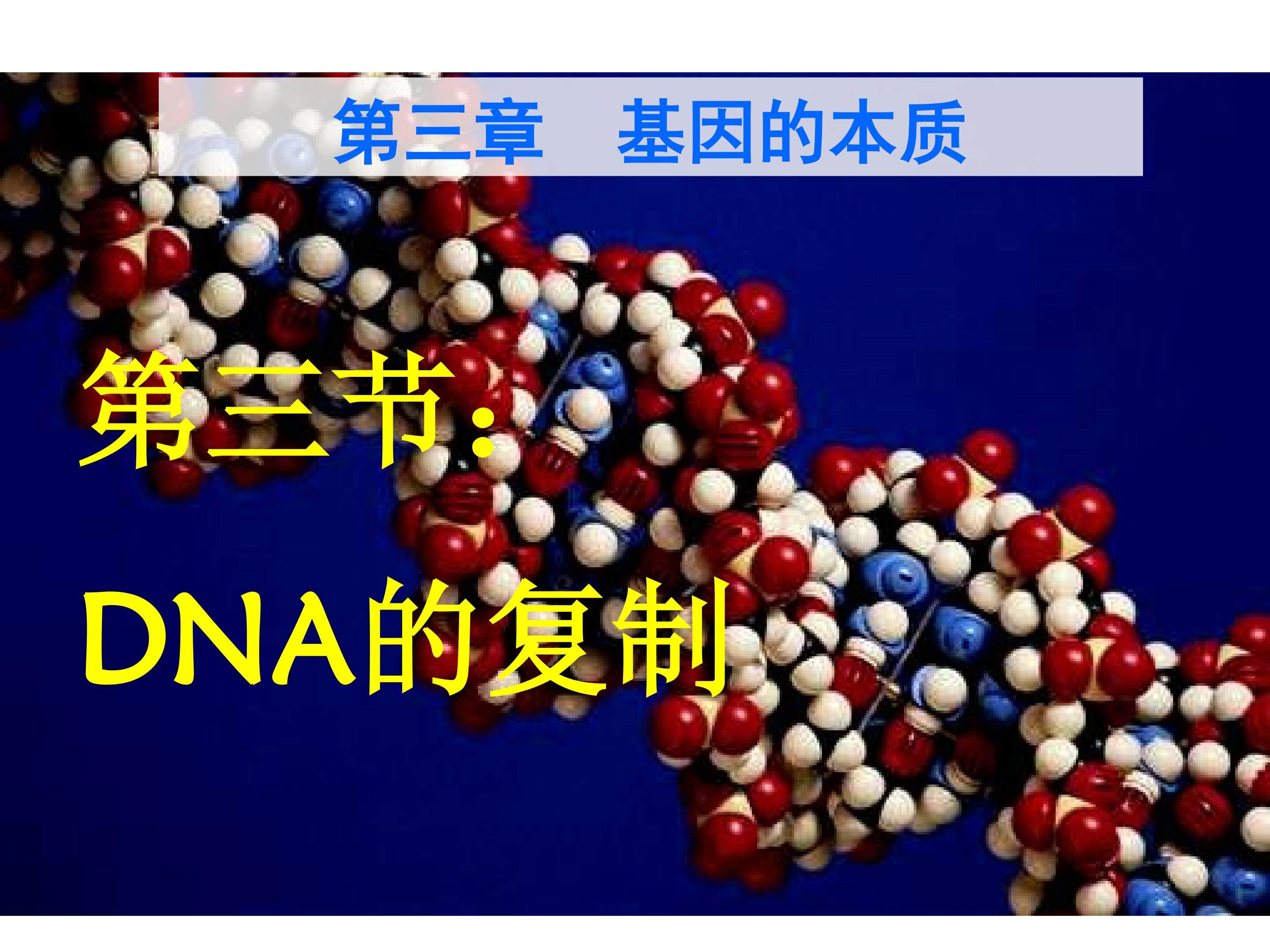 DNA复制
