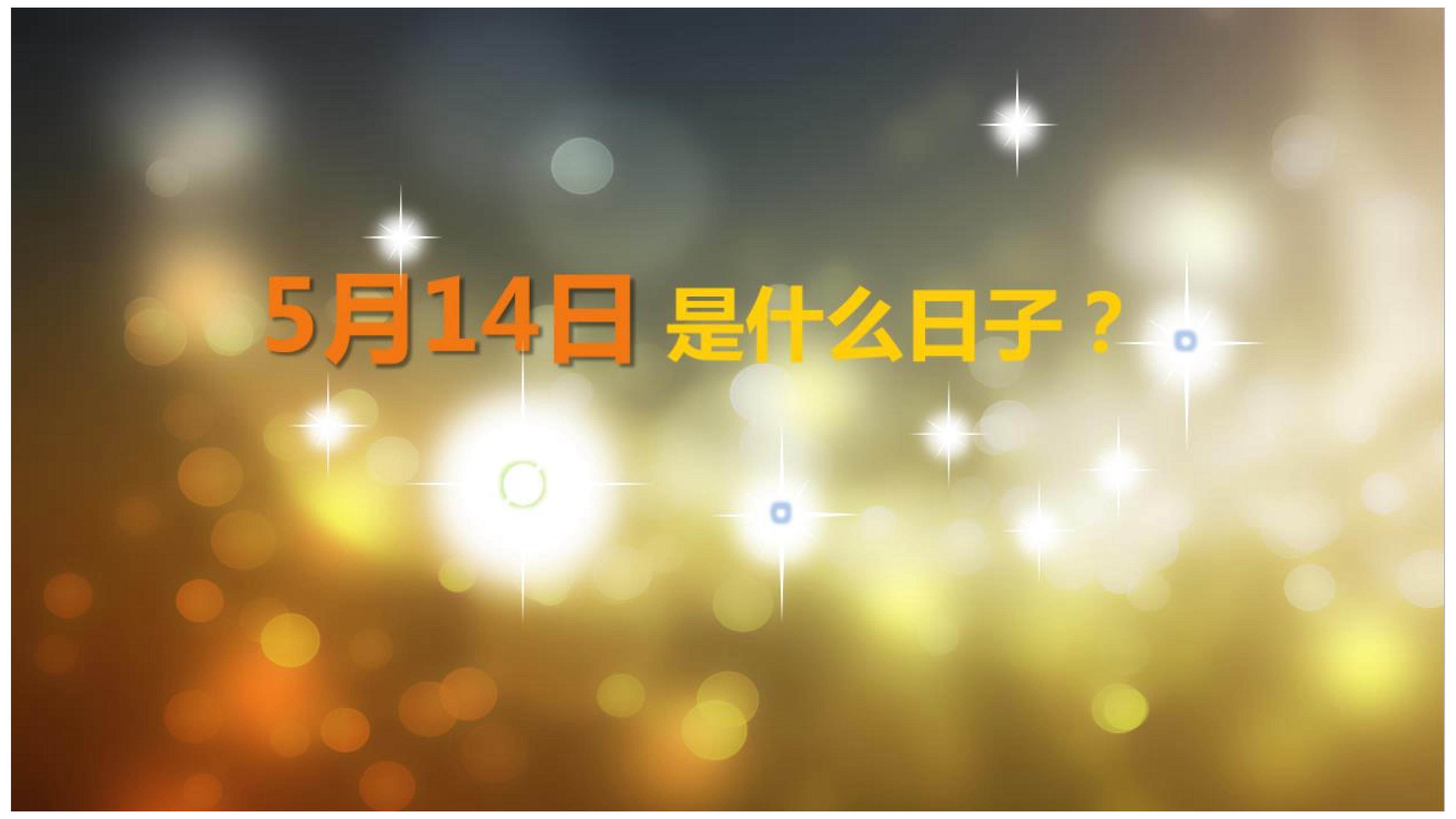 真情