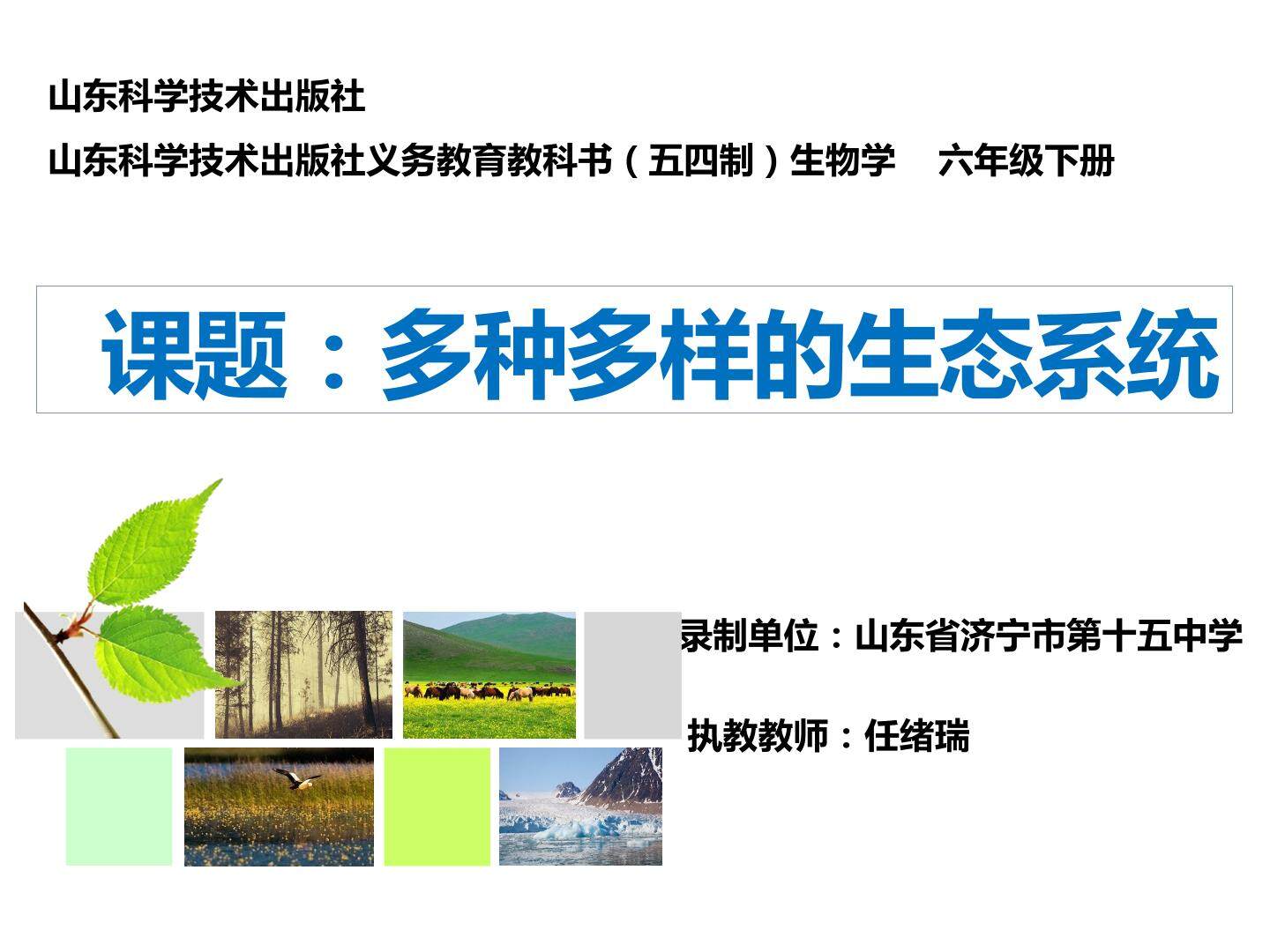 多种多样的生态系统