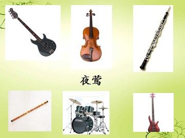 夜莺_课件1