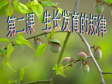 第二课  生长发育的规律