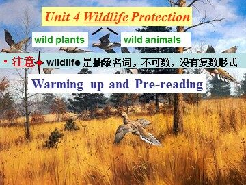 Unit 4 Wildlife protection
