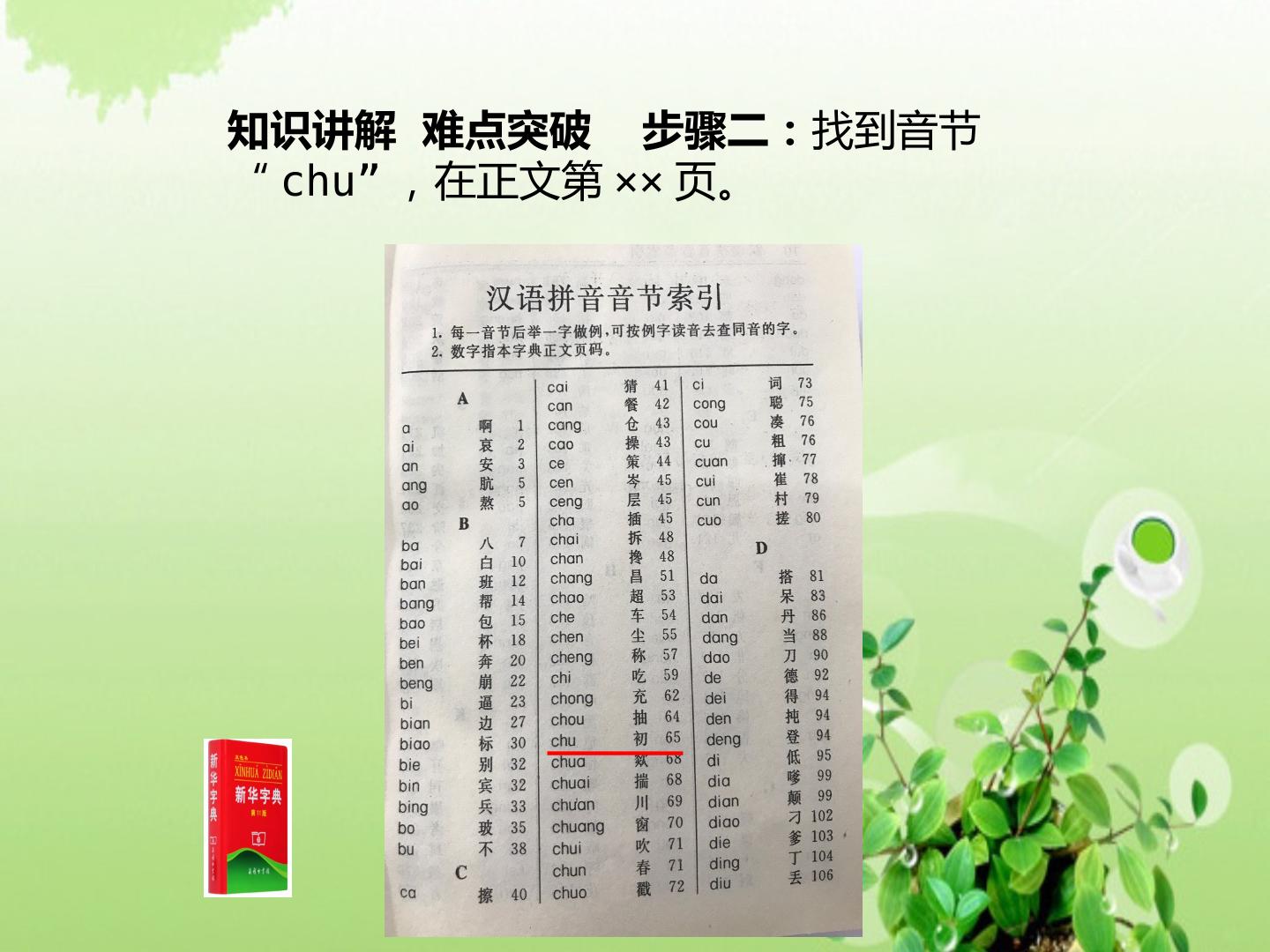 15.jpg