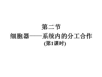 生物高中必修1第三章第一节课件3