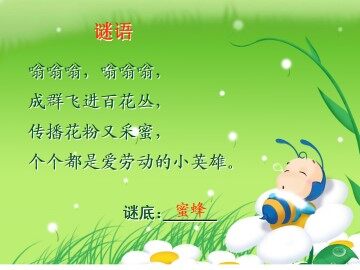 蜜蜂引路_课件2