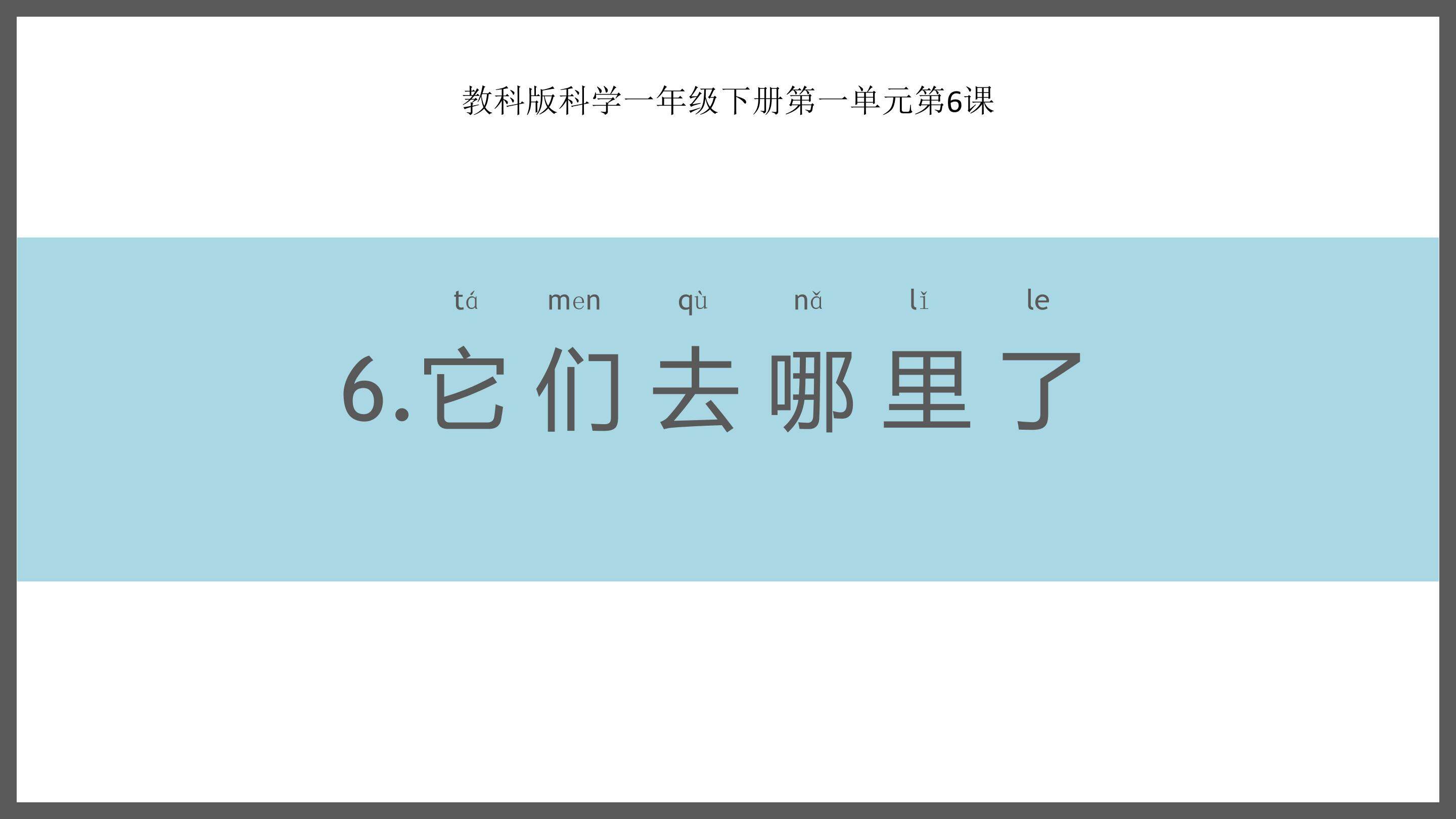 它们去哪儿了