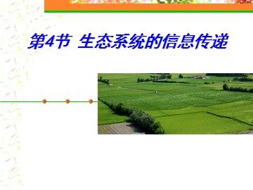 生物高中必修3第五章第四节课件8