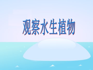 水生植物_课件1