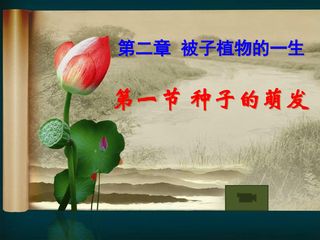 种子萌发