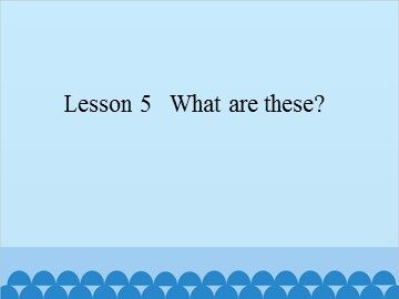 Lesson 5   What are these?_课件1
