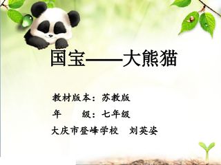 《国宝大熊猫》