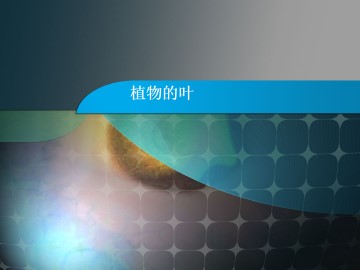 植物的叶_课件1