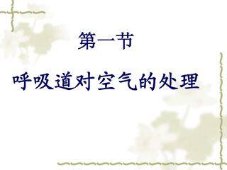 呼吸道对空气的处理
